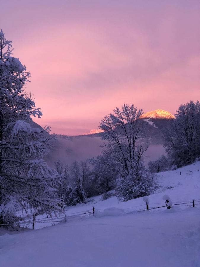 Chapamama Bed & Breakfast Aillon-le-Vieux Exterior foto